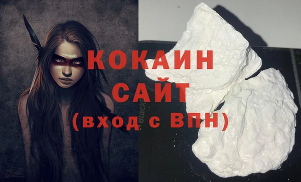 хмурый Ладушкин